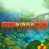 Kong Wonder Wilds